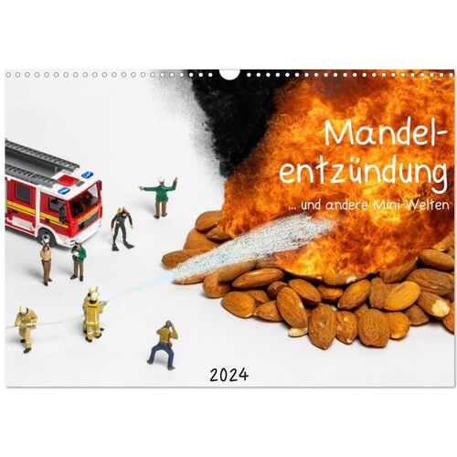 Calvendo Mandelentzündung … Und Andere Mini-Welten (Wandkalender 2024 Din A3 Quer) Calvendo Monatskalender