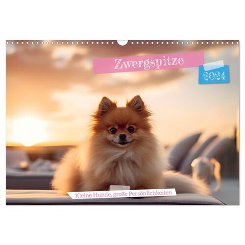 Zwergspitze - Kleine Hunde Große Persönlichkeiten (Wandkalender 2024 Din A3 Quer) Calvendo Monatskalender