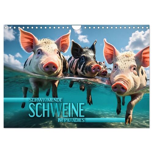 Calvendo Schwimmende Schweine Im Paradies (Wandkalender 2024 Din A4 Quer) Calvendo Monatskalender