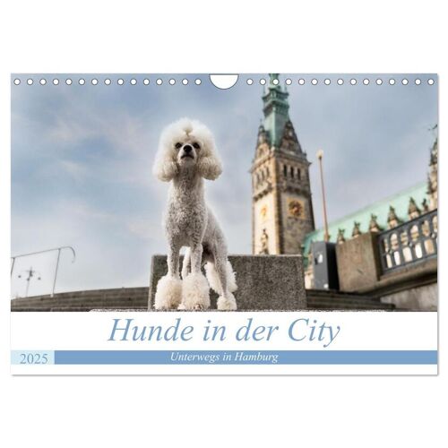 Hunde In Der City - Unterwegs In Hamburg (Wandkalender 2025 Din A4 Quer) Calvendo Monatskalender