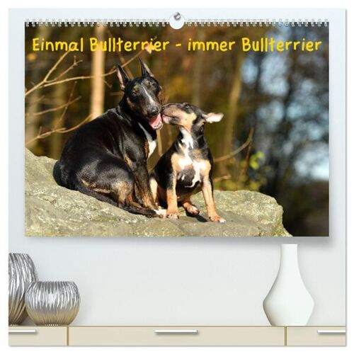 Calvendo Einmal Bullterrier - Immer Bullterrier (Hochwertiger Premium Wandkalender 2025 Din A2 Quer) Kunstdruck In Hochglanz