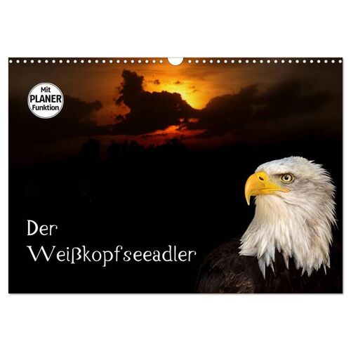 Der Weißkopfseeadler (Wandkalender 2025 Din A3 Quer) Calvendo Monatskalender