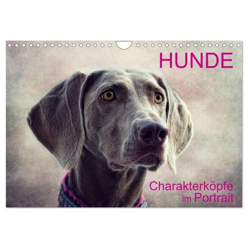 Hunde-Chrakaterköpfe Im Portrait (Wandkalender 2025 Din A4 Quer) Calvendo Monatskalender
