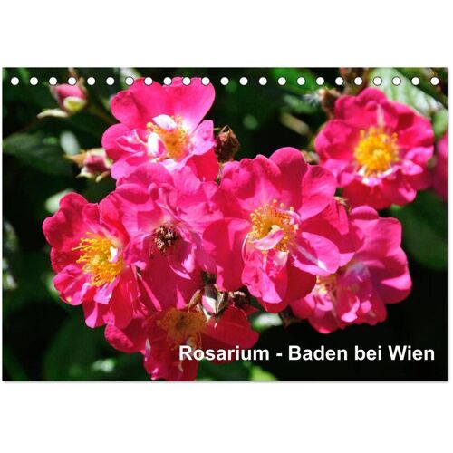 Baden Bei Wien - Rosarium (Tischkalender 2025 Din A5 Quer) Calvendo Monatskalender