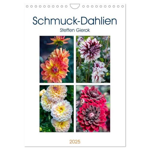 Schmuck-Dahlien (Wandkalender 2025 Din A4 Hoch) Calvendo Monatskalender