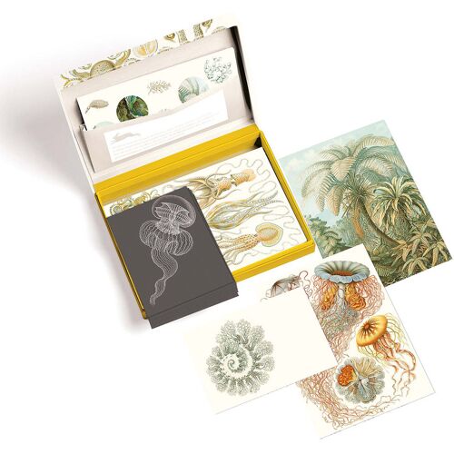 Briefpapier-Set »Natur«