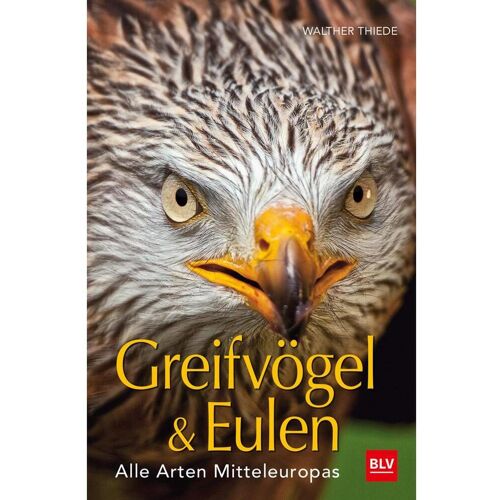 BLV Greifvögel & Eulen