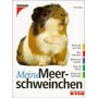 meerschweinchen