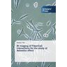 Seydou Yao - IR imaging of Fiber/Cell interactions for the study of Asbestos effect