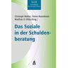 Christoph Mattes - Das Soziale in der Schuldenberatung (Grundlagen der Sozialen Arbeit)