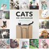 @cats_of_instagram - GEBRAUCHT Cats of Instagram - Preis vom 02.07.2024 04:55:53 h