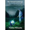 Ndaba Sibanda - The Virtual Landscape