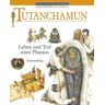 David Murdoch - GEBRAUCHT Tutanchamun: Leben und Tod eines Pharaos - Preis vom 28.05.2024 04:54:29 h