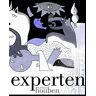 Matthias Houben - Experten