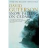 David Guterson - GEBRAUCHT Snow Falling On Cedars - Preis vom 09.05.2024 04:53:29 h