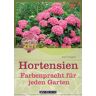 Axel Gutjahr - GEBRAUCHT Hortensien: Farbenpracht für jeden Garten: Farbenpracht fÃ1/4r jeden Garten - Preis vom 02.07.2024 04:55:53 h