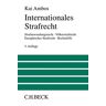 Kai Ambos - Internationales Strafrecht: Strafanwendungsrecht, Völkerstrafrecht, Europäisches Strafrecht, Rechtshilfe (Großes Lehrbuch)