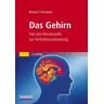 Richard Thompson - GEBRAUCHT Das Gehirn: Von der Nervenzelle zur Verhaltenssteuerung - Preis vom 01.06.2024 05:04:23 h