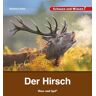 Barbara Rath - Der Hirsch: Schauen und Wissen!