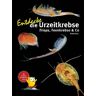 Kriton Kunz - GEBRAUCHT Entdecke die Urzeitkrebse: Triops, Feenkrebse & Co (Entdecke - Die Reihe mit der Eule: Kindersachbuchreihe) - Preis vom h