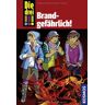 Maja von Vogel - GEBRAUCHT Die drei !!!, 34, Brandgefährlich! - Preis vom 26.06.2024 05:04:14 h