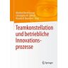 Manfred Bornewasser - Teamkonstellation und betriebliche Innovationsprozesse