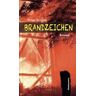 Helge Nyncke - GEBRAUCHT Brandzeichen: Roman - Preis vom 02.07.2024 04:55:53 h