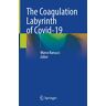 Marco Ranucci - The Coagulation Labyrinth of Covid-19