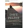 Dave Pelzer - GEBRAUCHT Ein Mann namens Dave: Eine Geschichte von Triumph und Vergebung - Preis vom 02.07.2024 04:55:53 h