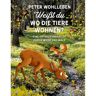 Weißt du, wo die Tiere wohnen? - Sachbuch