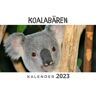 27Amigos Koalabären