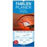 Familienplaner 2024 - Frei Sein - Paragliding Mit 5 Spalten (Wandkalender 21 X 45 Cm) Calvendo