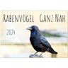 Rabenvögel - Ganz Nah (Wandkalender 2024 Din A2 Quer) Calvendo Monatskalender