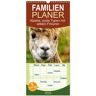 Familienplaner 2024 - Alpaka Coole Typen Mit Wilden Frisuren Mit 5 Spalten (Wandkalender 21 X 45 Cm) Calvendo