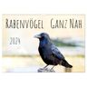 Rabenvögel - Ganz Nah (Wandkalender 2024 Din A3 Quer) Calvendo Monatskalender