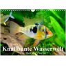 Calvendo Verlag Knallbunte Wasserwelt. Die Welt Der Fische (Wandkalender 2024 Din A4 Quer) Calvendo Monatskalender