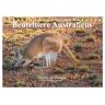 Calvendo Verlag Beuteltiere Australiens (Tischkalender 2024 Din A5 Quer) Calvendo Monatskalender