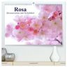 Calvendo Verlag Rosa. Herzenswärme Und Verliebtheit (Hochwertiger Premium Wandkalender 2024 Din A2 Quer) Kunstdruck In Hochglanz