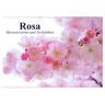 Calvendo Verlag Rosa. Herzenswärme Und Verliebtheit (Wandkalender 2024 Din A2 Quer) Calvendo Monatskalender