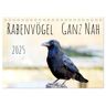 Rabenvögel - Ganz Nah (Tischkalender 2025 Din A5 Quer) Calvendo Monatskalender