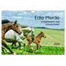 Edle Pferde - Ausgelassen Und Unbeschwert (Wandkalender 2025 Din A4 Quer) Calvendo Monatskalender