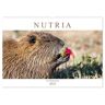 Nutria Mit Nachwuchs (Wandkalender 2025 Din A2 Quer) Calvendo Monatskalender