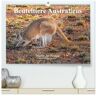 Calvendo Beuteltiere Australiens (Hochwertiger Premium Wandkalender 2025 Din A2 Quer) Kunstdruck In Hochglanz