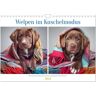 Welpen Im Kuschelmodus - Herzerwärmende Kleine Labrador Retriever (Wandkalender 2025 Din A4 Quer) Calvendo Monatskalender