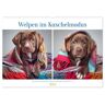 Welpen Im Kuschelmodus - Herzerwärmende Kleine Labrador Retriever (Wandkalender 2025 Din A2 Quer) Calvendo Monatskalender