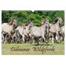 Dülmener Wildpferde (Wandkalender 2025 Din A3 Quer) Calvendo Monatskalender