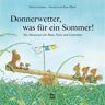 NordSüd Verlag AG Donnerwetter, was für ein Sommer!