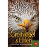 BLV Greifvögel & Eulen