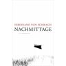 Nachmittage