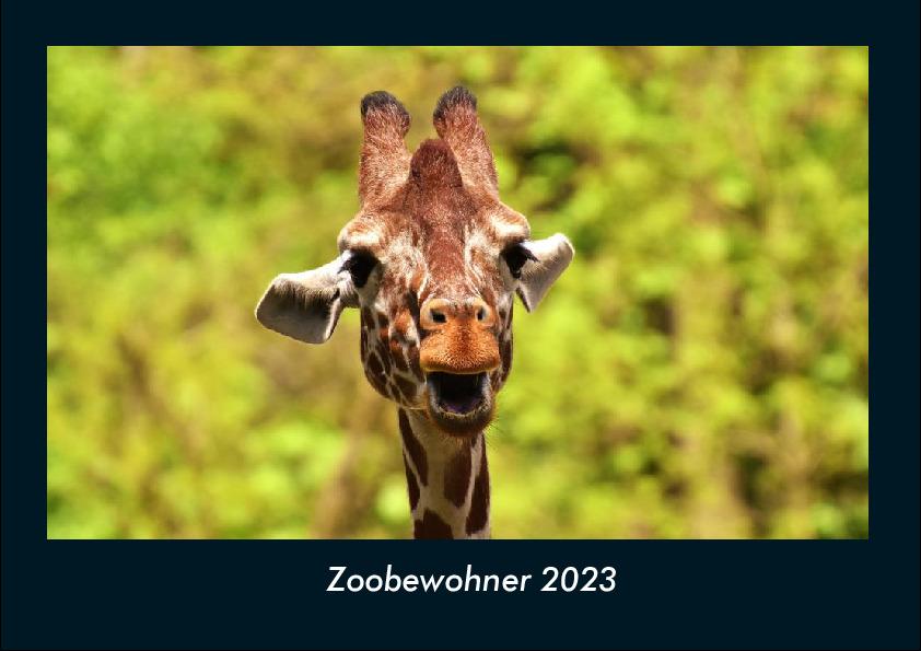 Zooom